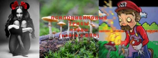 мяу мяу кристалл Ельня